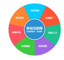 網絡技術驅動下的App開發 機遇與挑戰并存